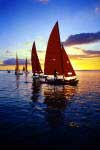 relax on a boat trip
