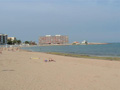 los locos beach