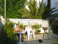 the garden