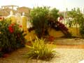 the garden